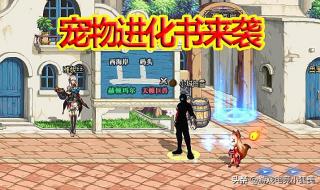 dnf宠物进化任务 dnf宠物进化任务