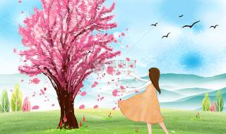 qq一天能加多少好友 qq一天能加多少好友